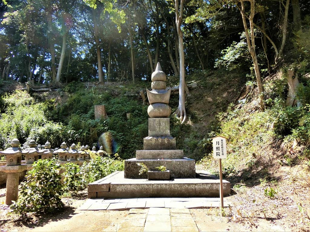 Tea House and Garden View