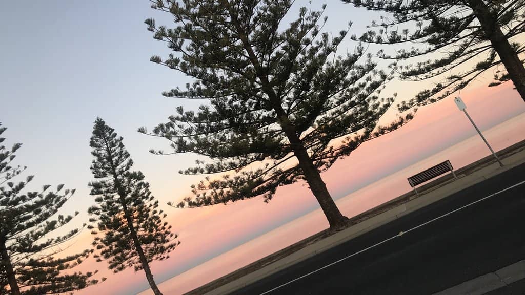 Vertical photo
