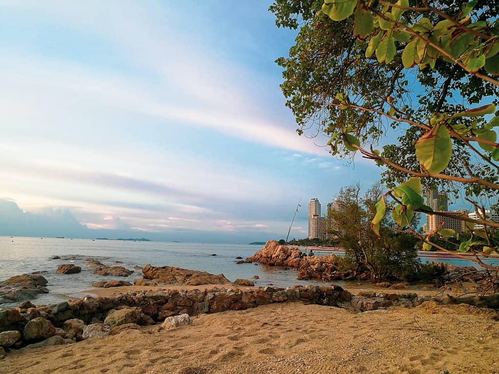 Local Charm & Secluded Feel