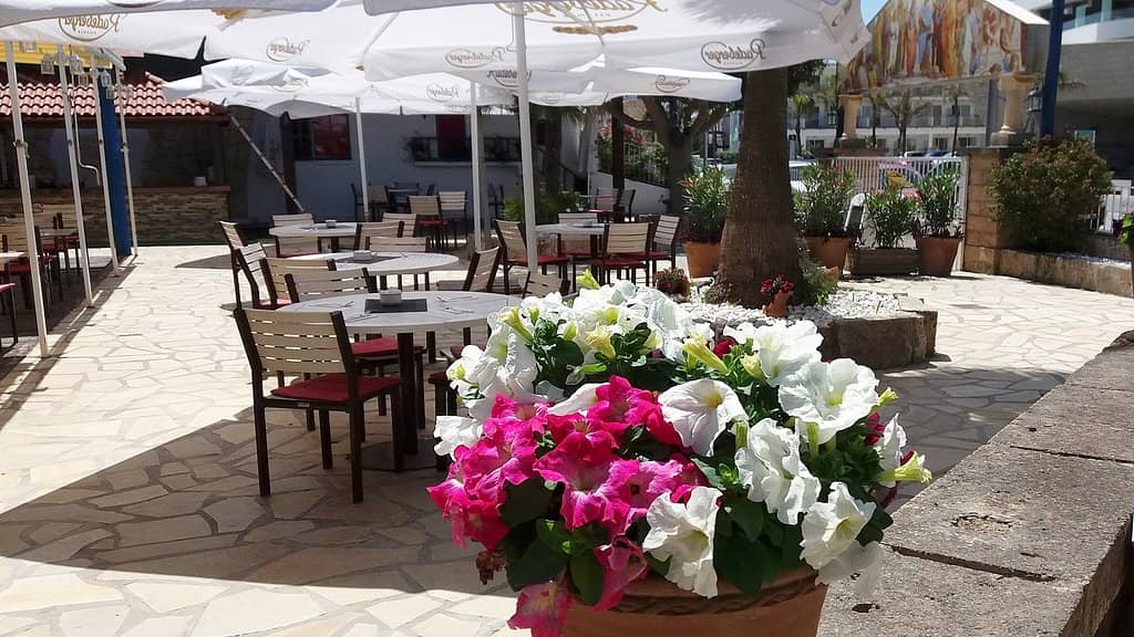 Charming Outdoor Seating