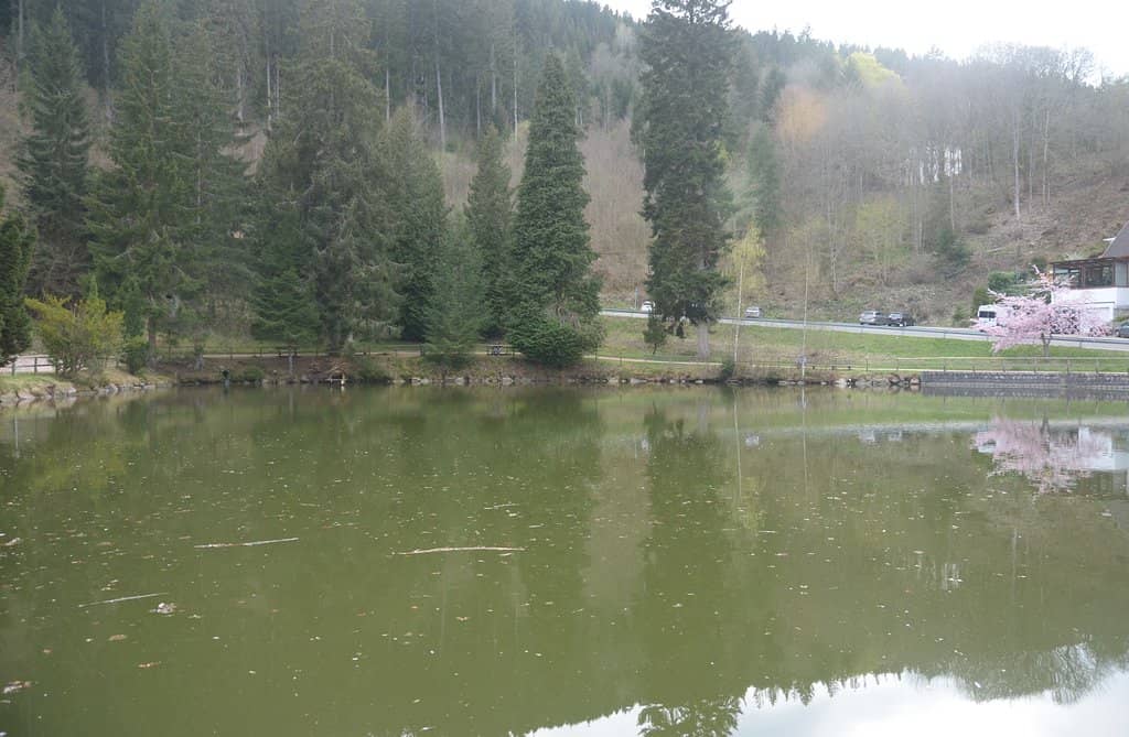 Bergsee Triberg