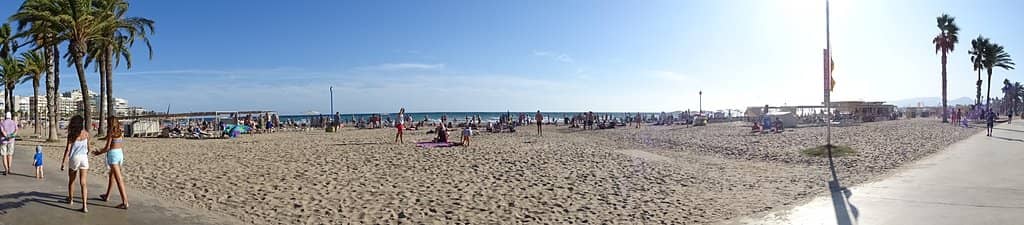 Expansive Golden Sands