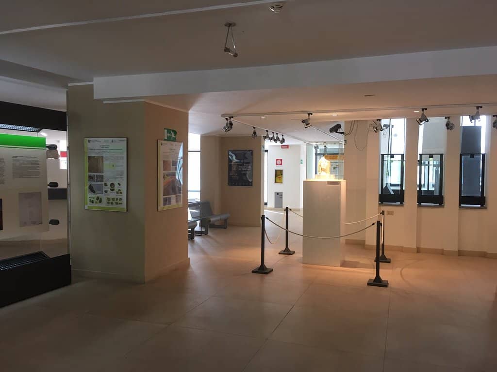 Museum Collection