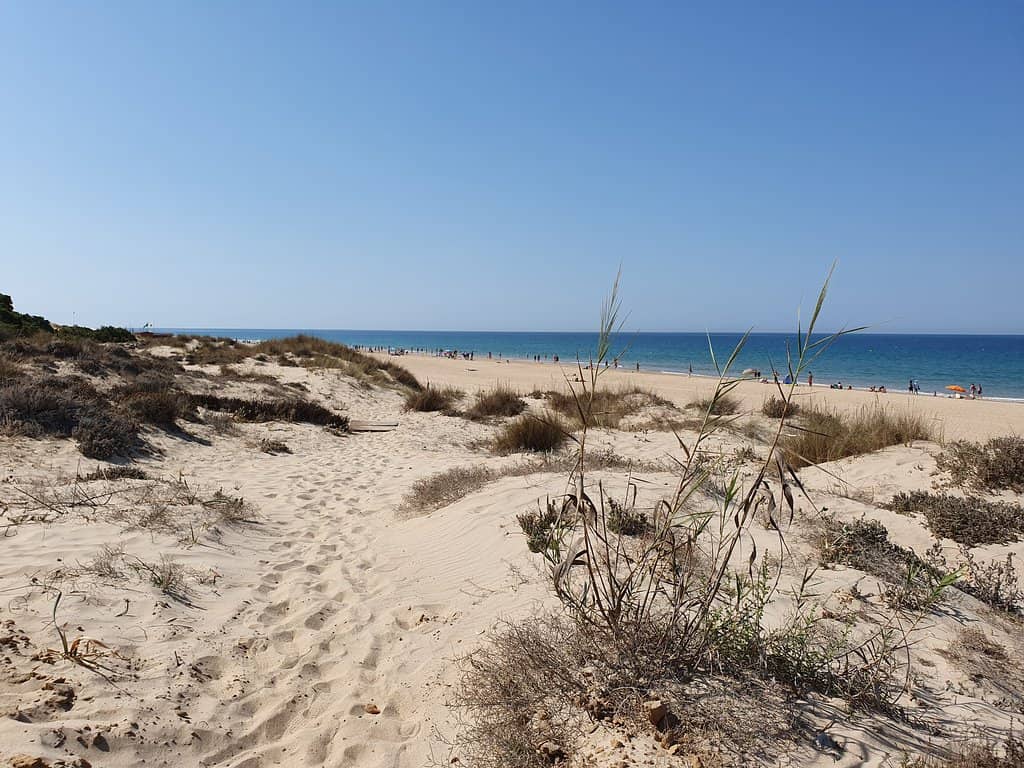 Spectacular Sunset Views