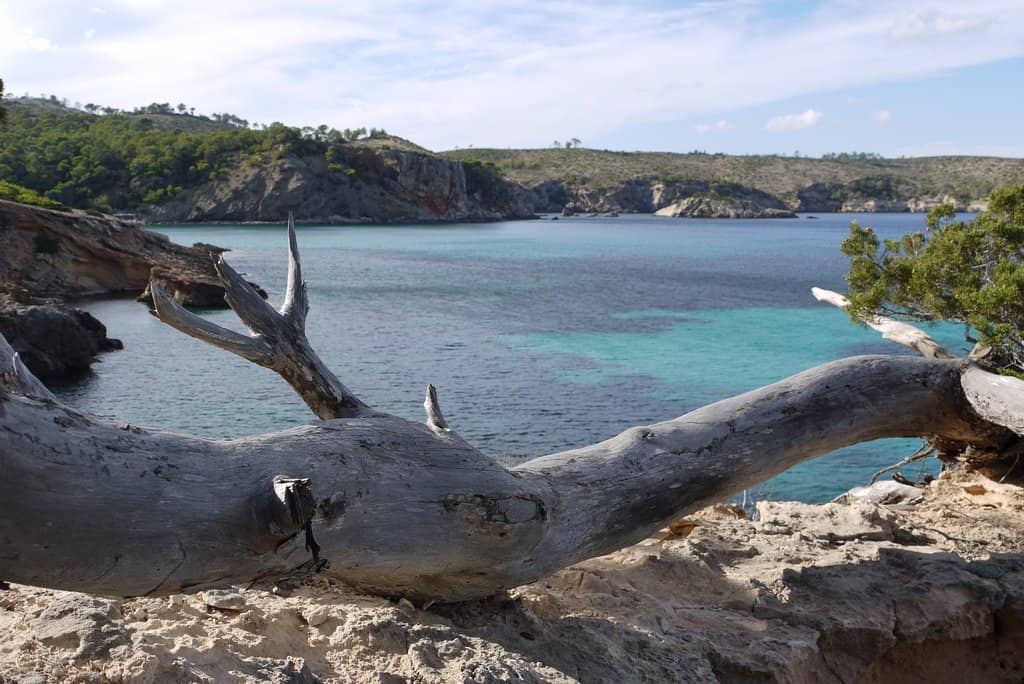 Nearby Culinary Delights