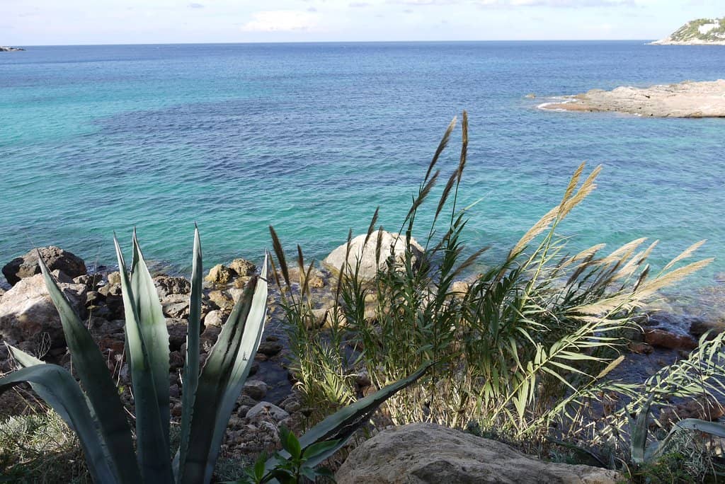 Tranquil Rocky Cove