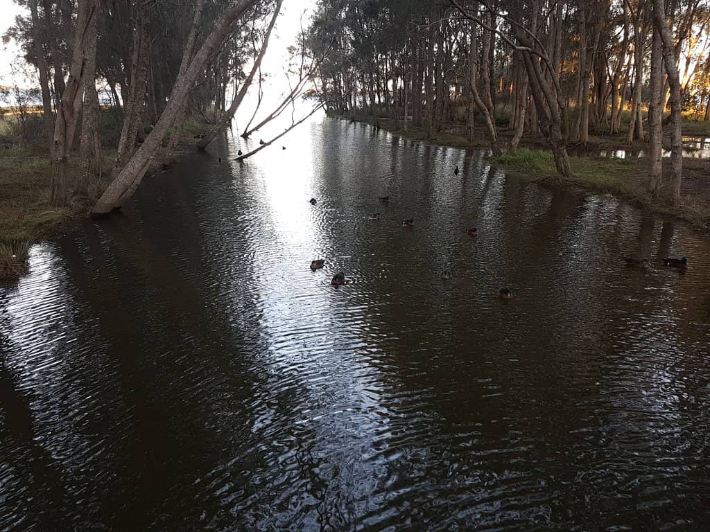 Spectacular Sunset Views