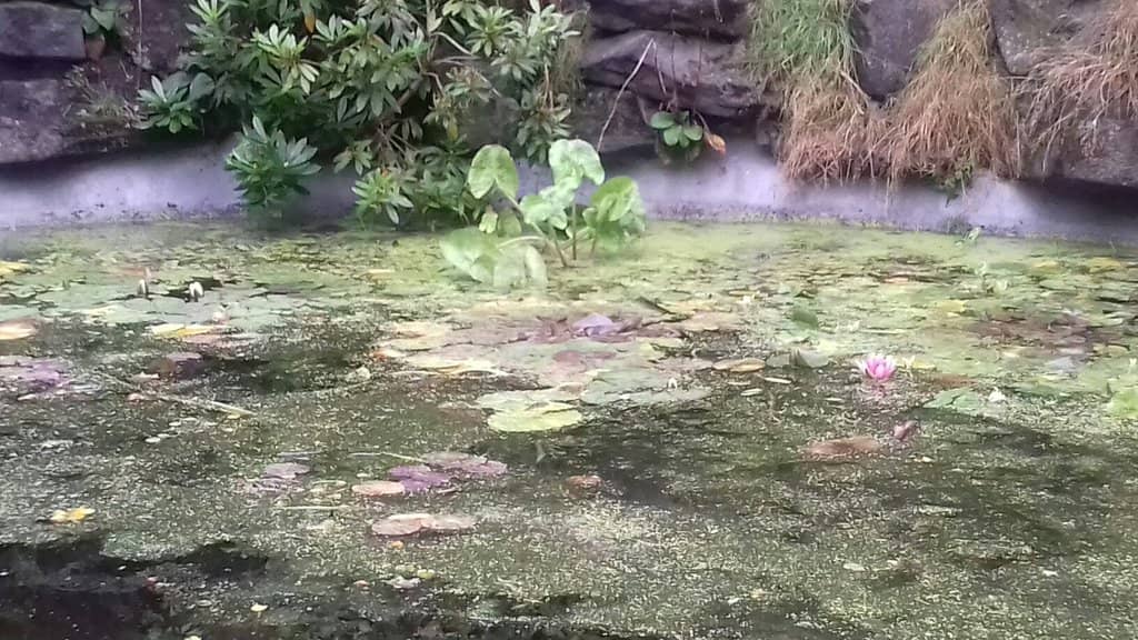 Modern Adventure Playground