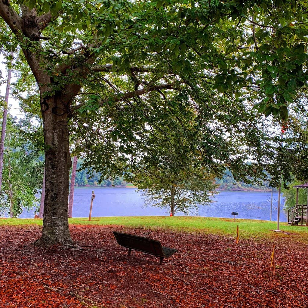 Picnic Areas