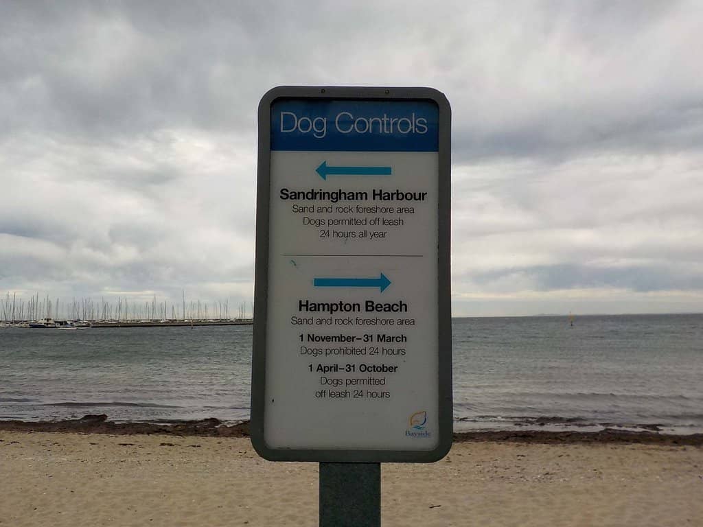 Scenic Harbour Views