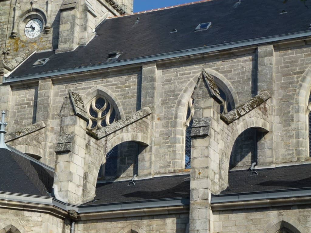 Vertical photo