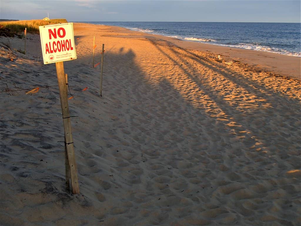 Shelling and Birdwatching