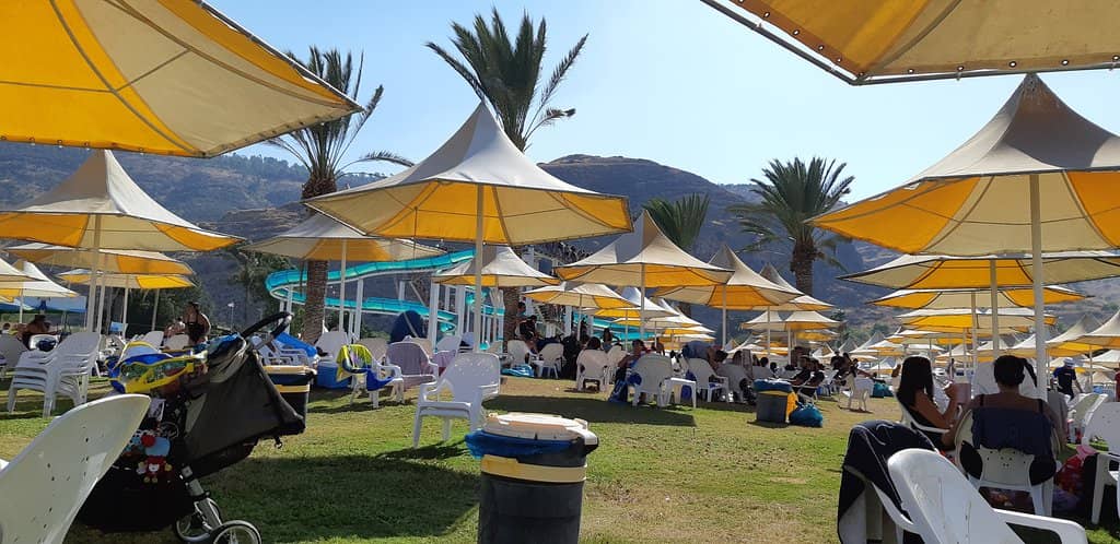 Shaded Picnic Areas
