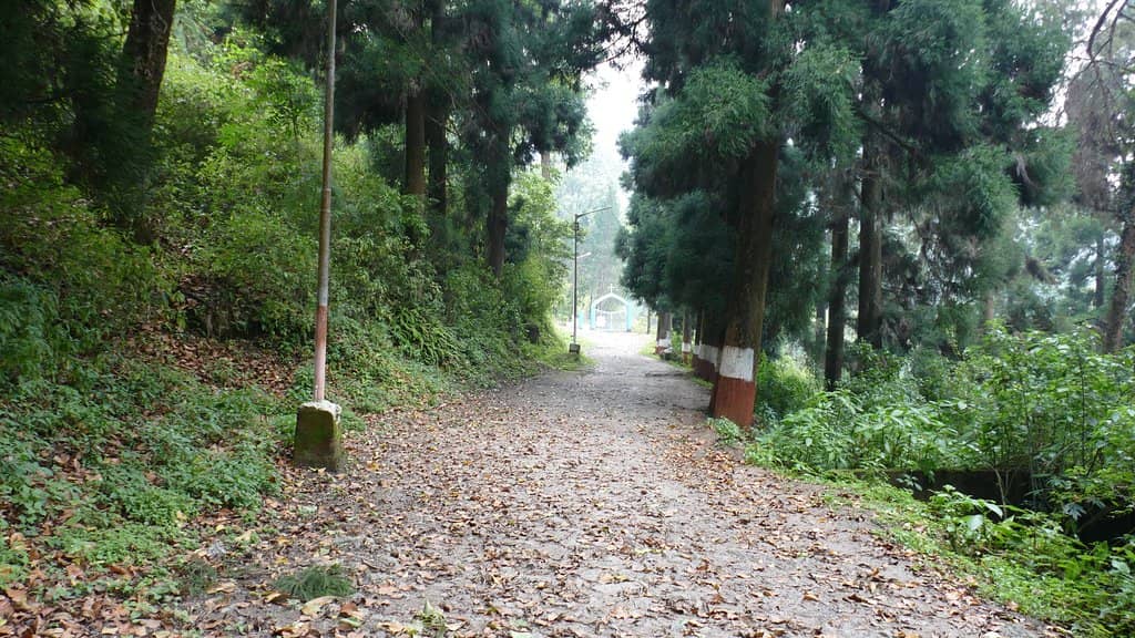 Purim Festival Celebrations