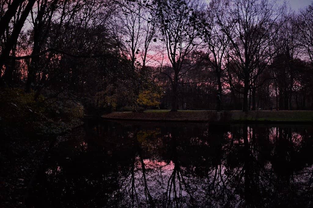 America Garden
