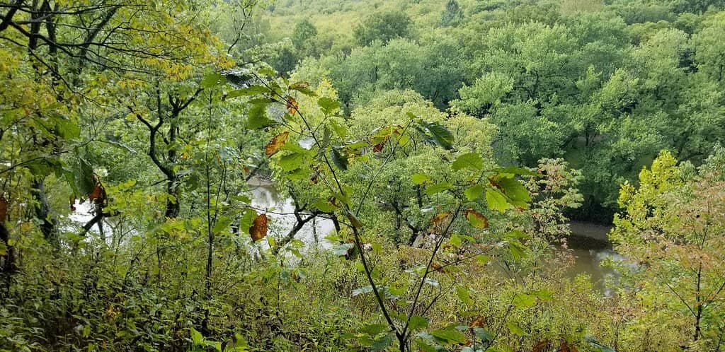 Scenic Creek Views