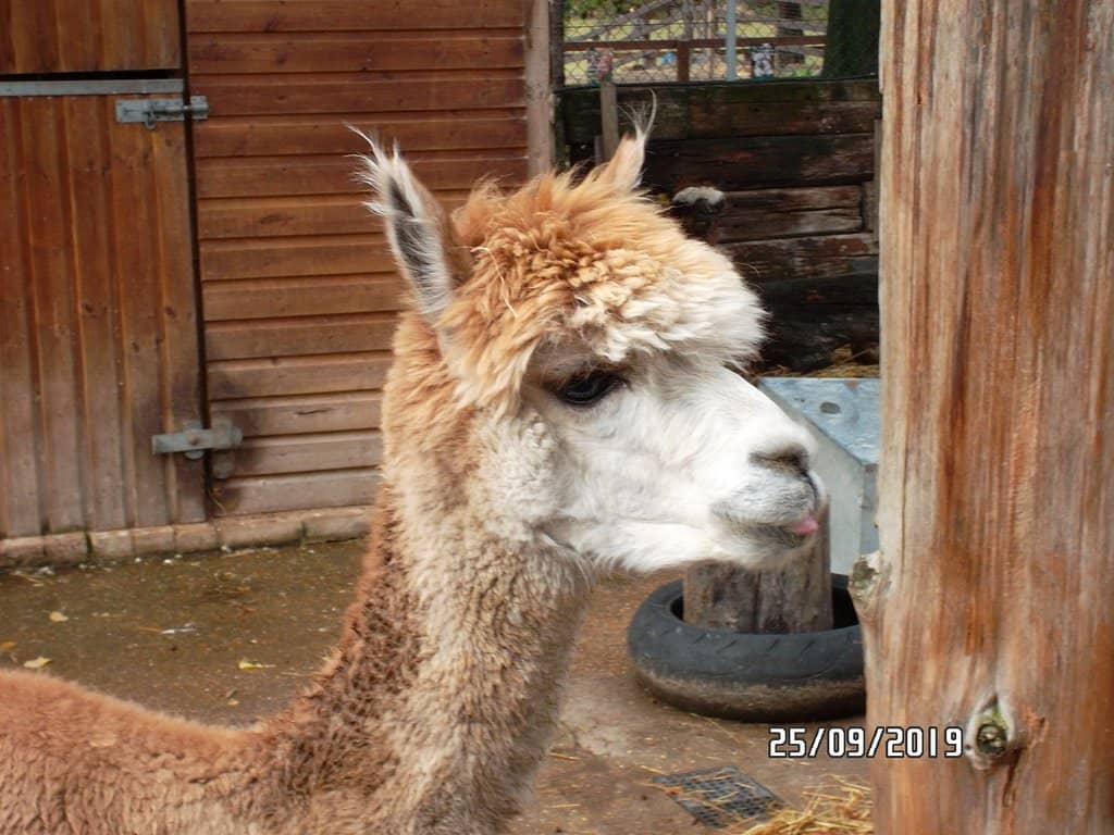 Meet and Greet Sessions