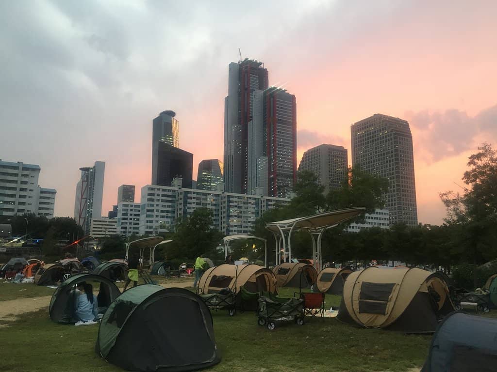 Riverside Picnics & Relaxation