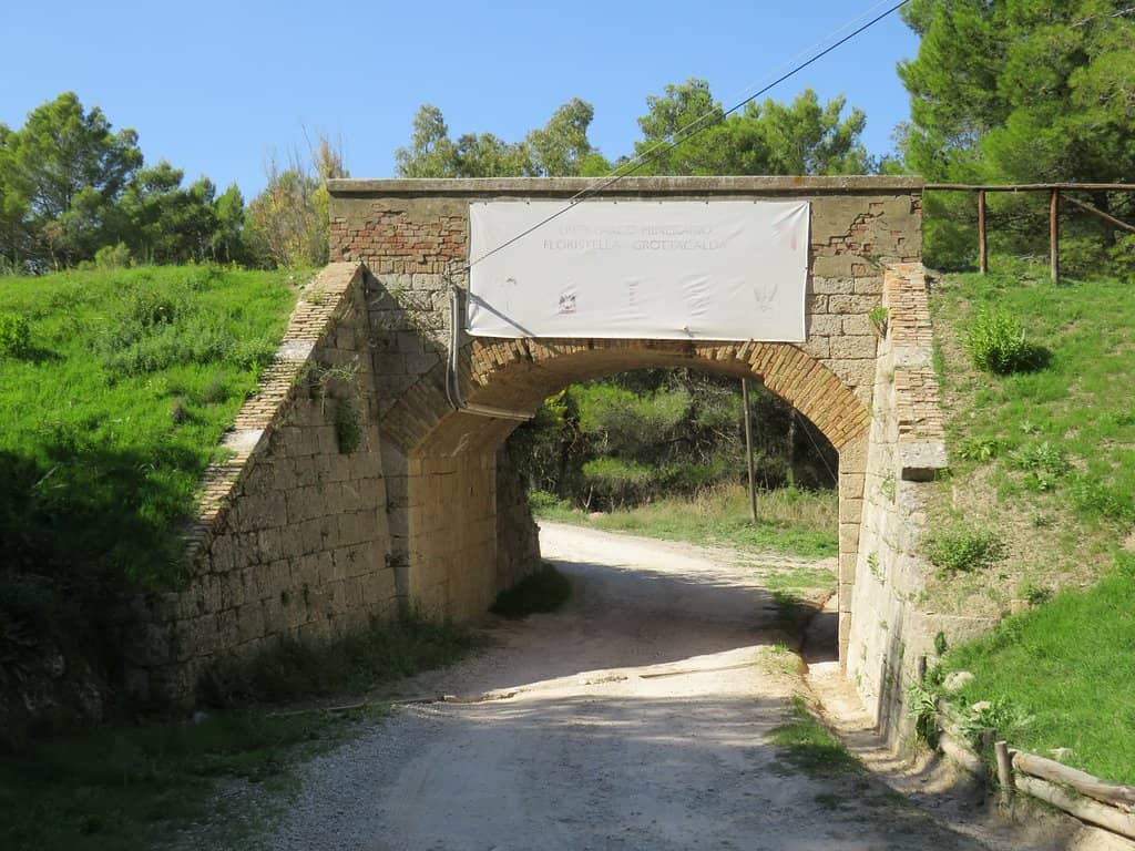 Scenic Trekking Paths