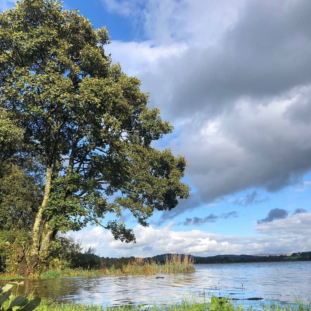 Llyn Tegid Shoreline Walk