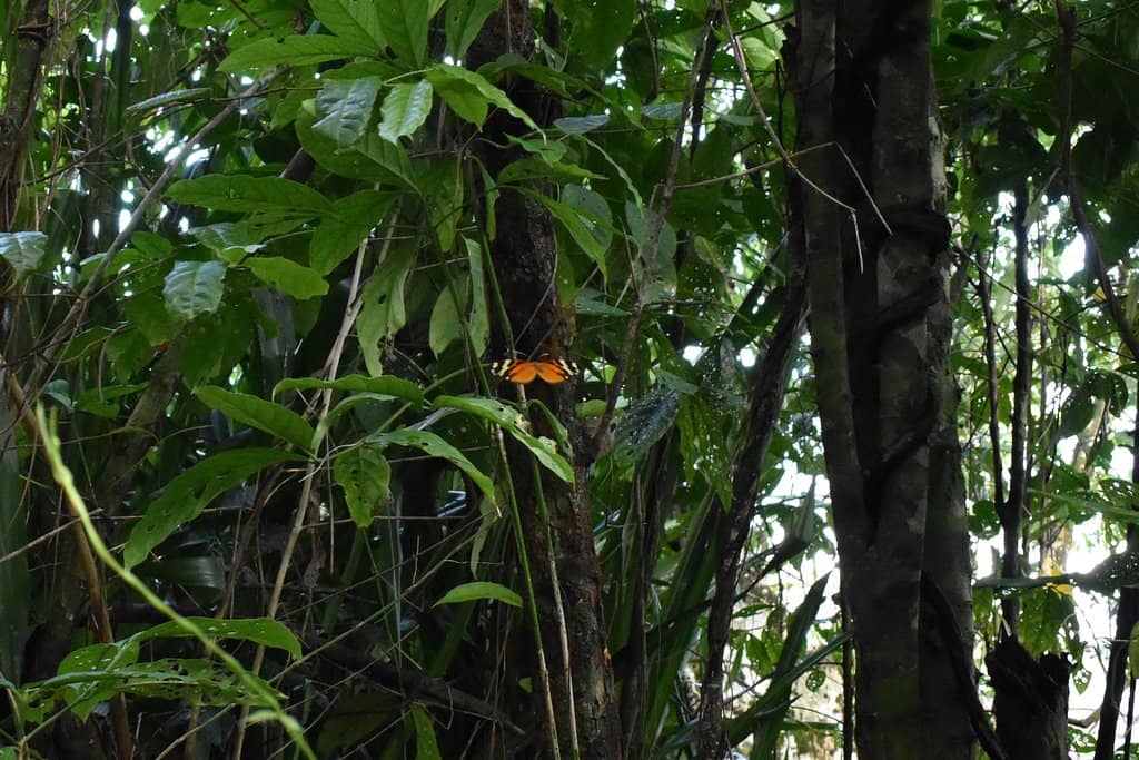 Abundant Wildlife Sightings