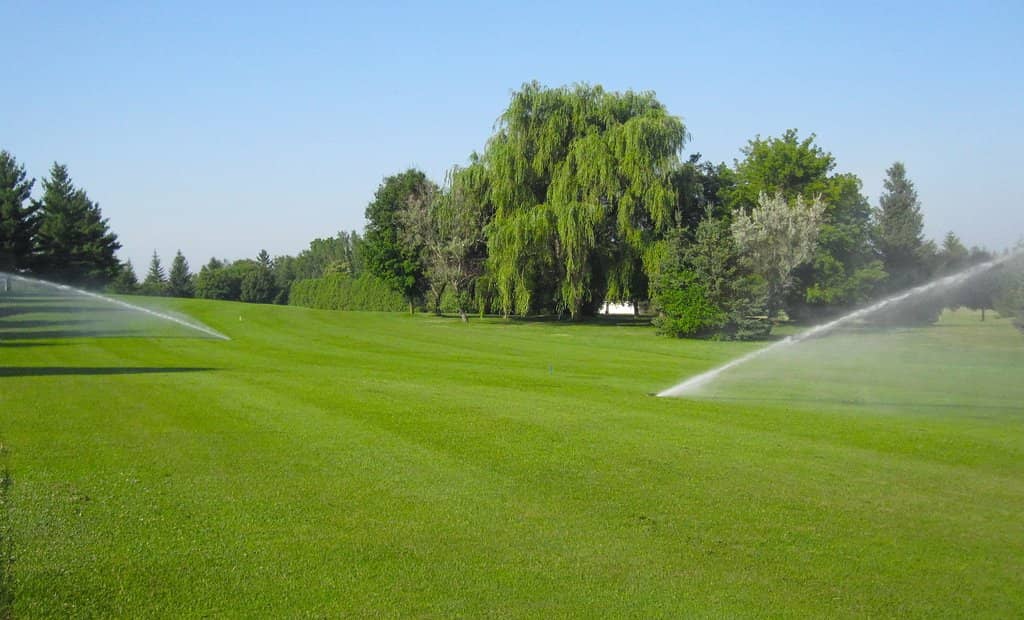 The Back Nine Challenge