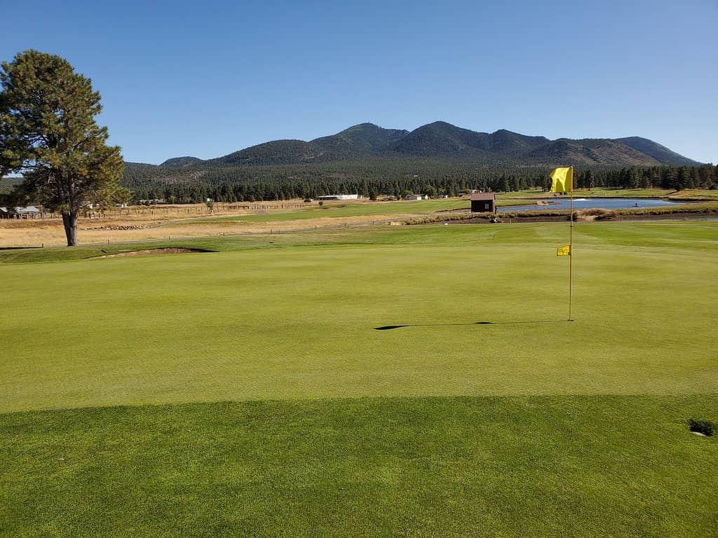 Challenging Yet Fun Holes
