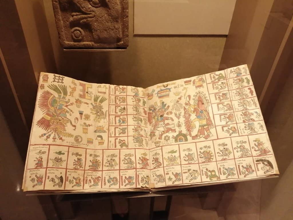 Clean and Well-Maintained