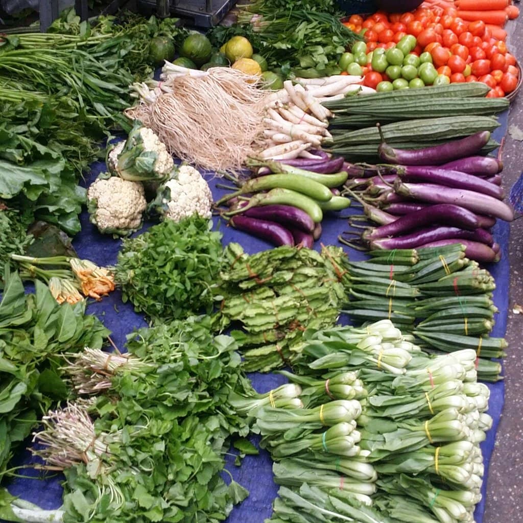 Vast Indigenous Art Collection