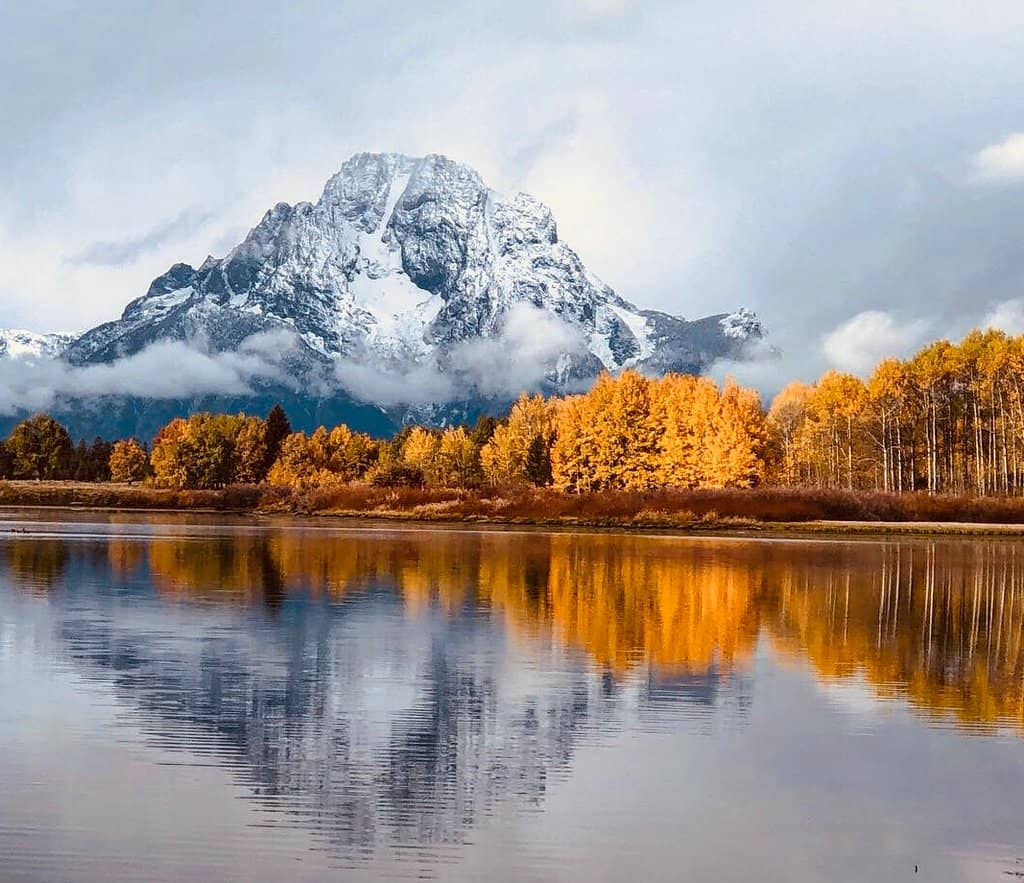 Jackson Lake Overlook