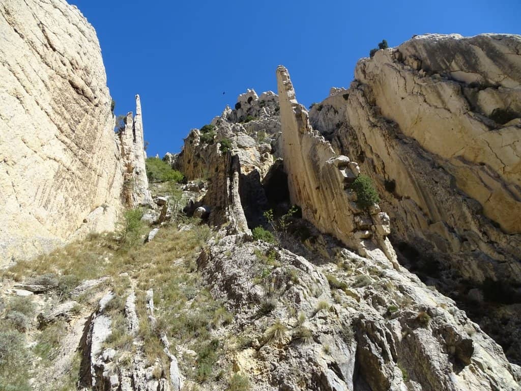 Sedimentary Folding