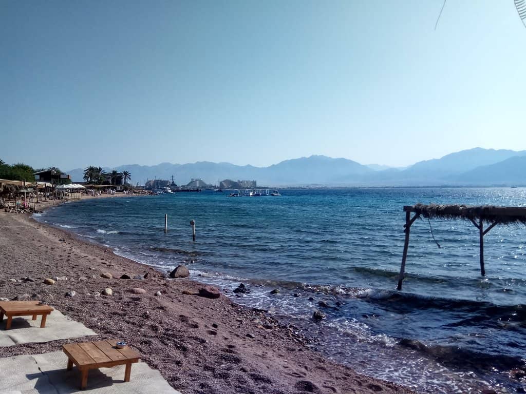 Live Music & Chill Vibes