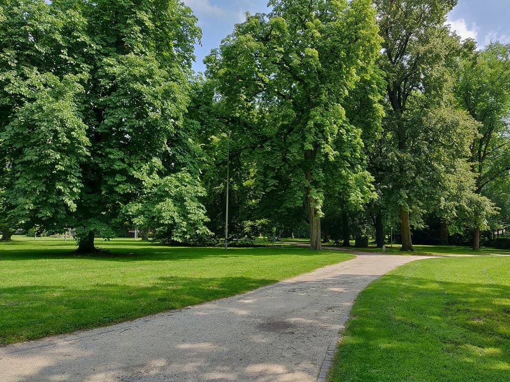 Tiergarten Ulm