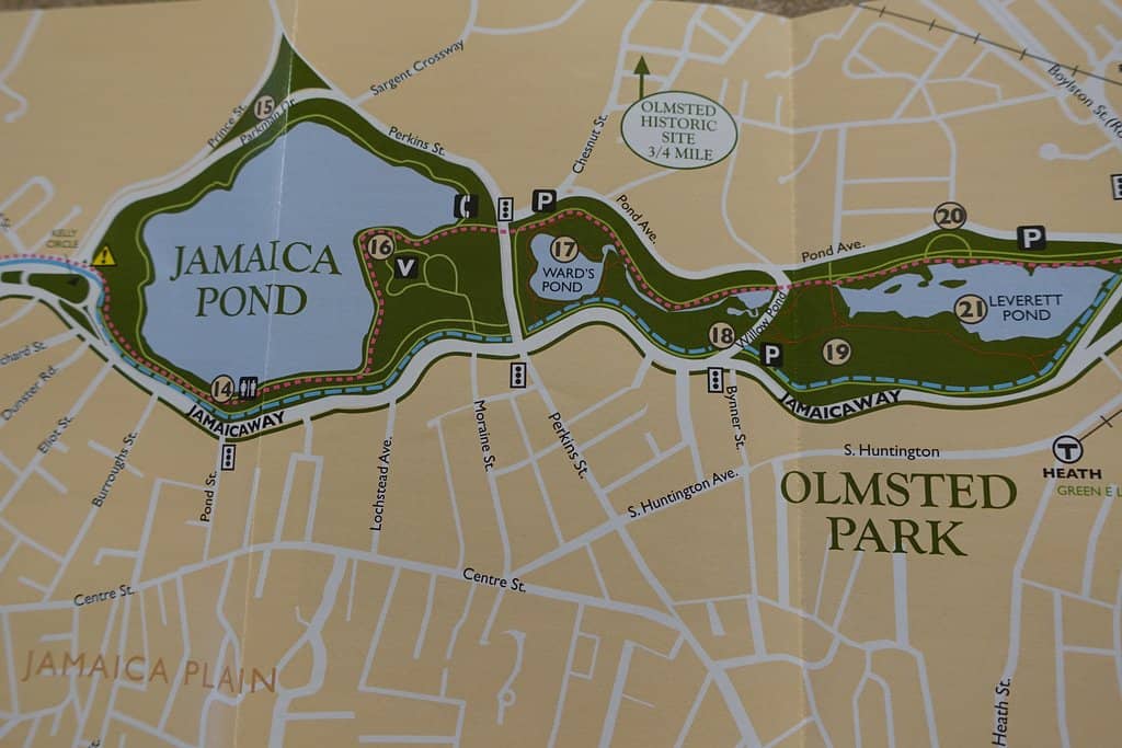 The Pond Loop