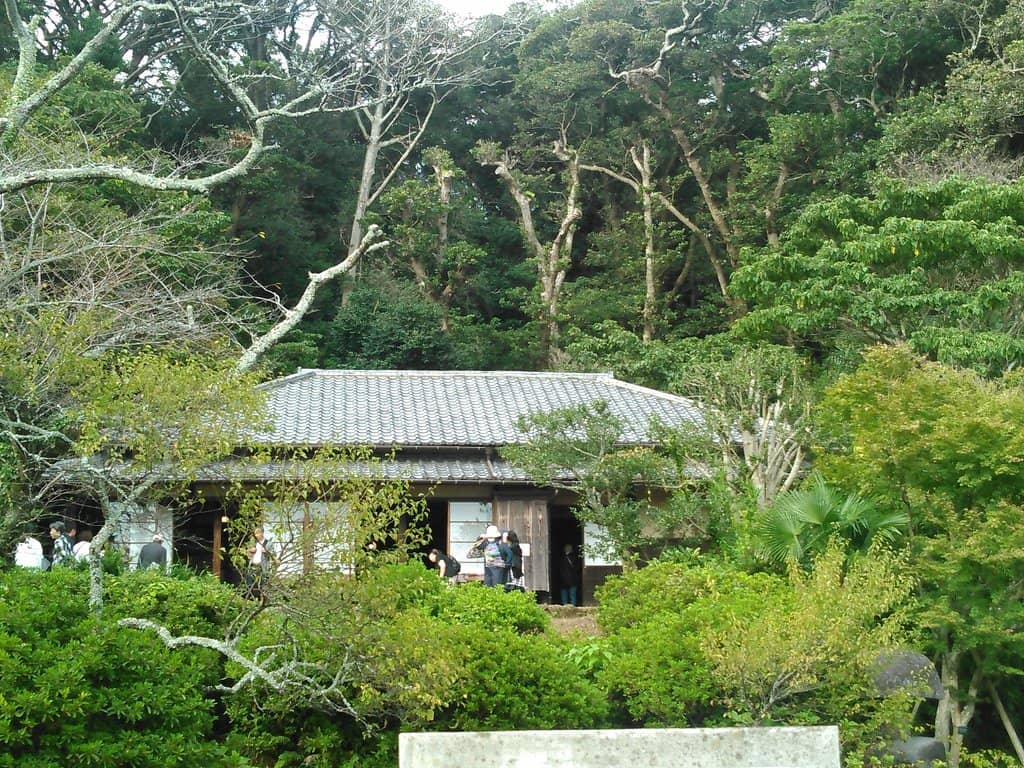 Film Library & Archives