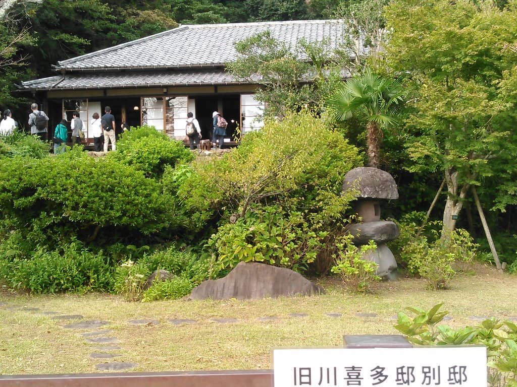 Public Film Screenings