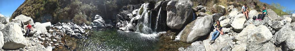 Vertical photo