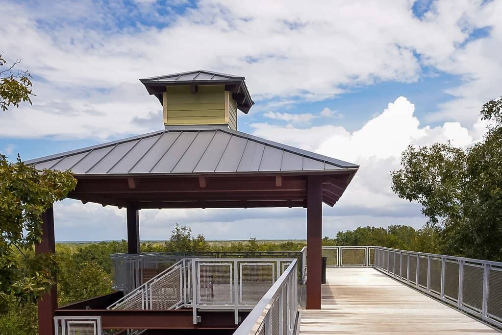 Lake Apopka Wildlife