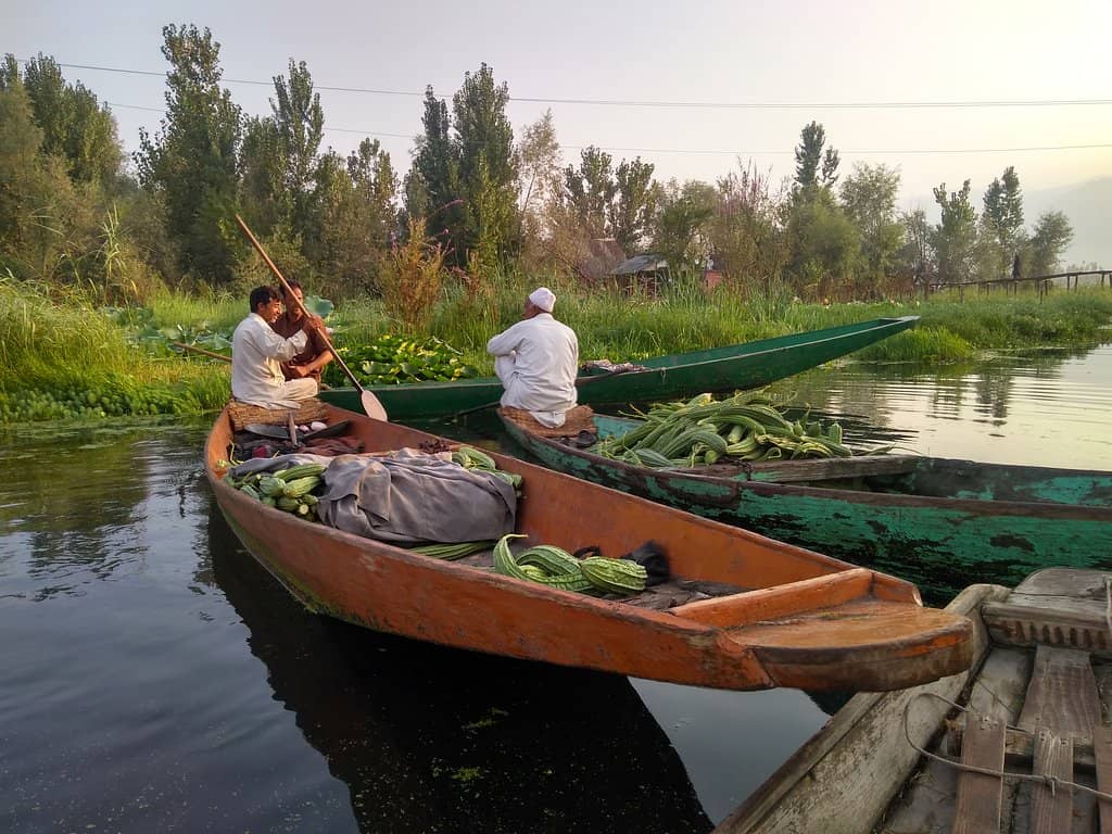The Bustling Vegetable Market