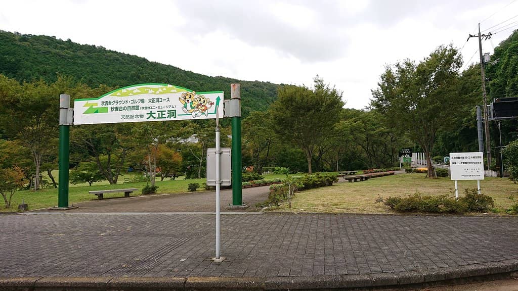 Unexpected Car Meets