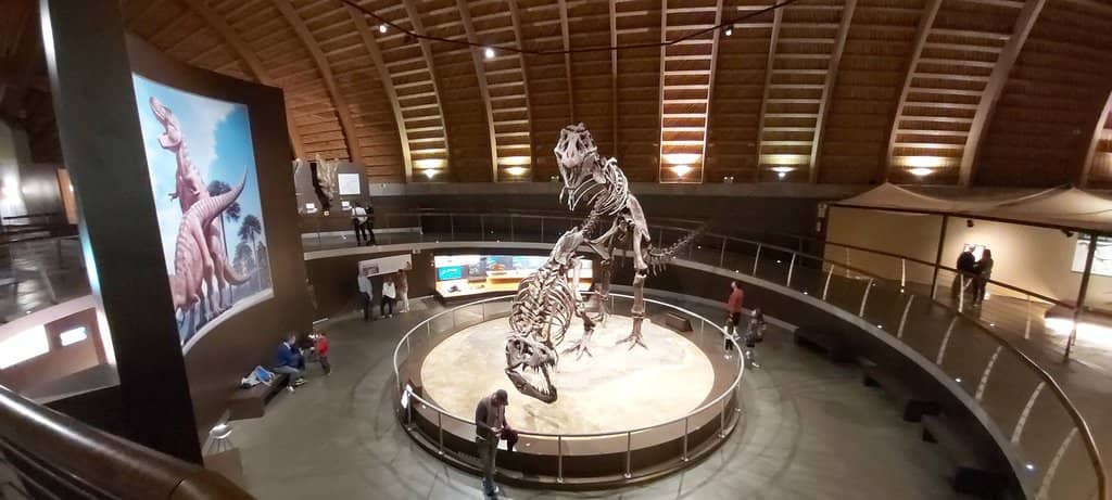 Unique Dinosaur Footprint Architecture