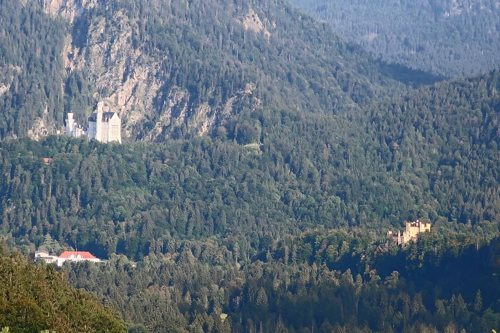 Vertical photo