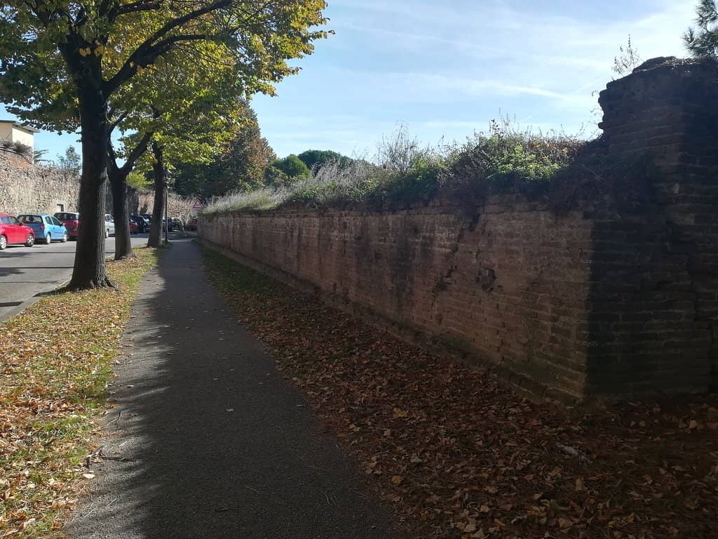 Architectural Evolution