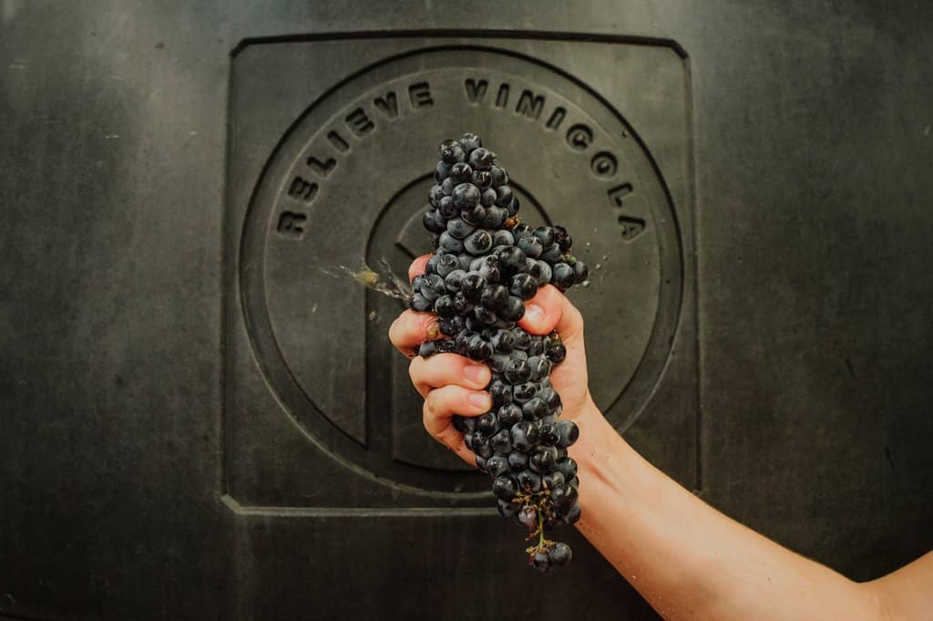 Modern Architecture & Art