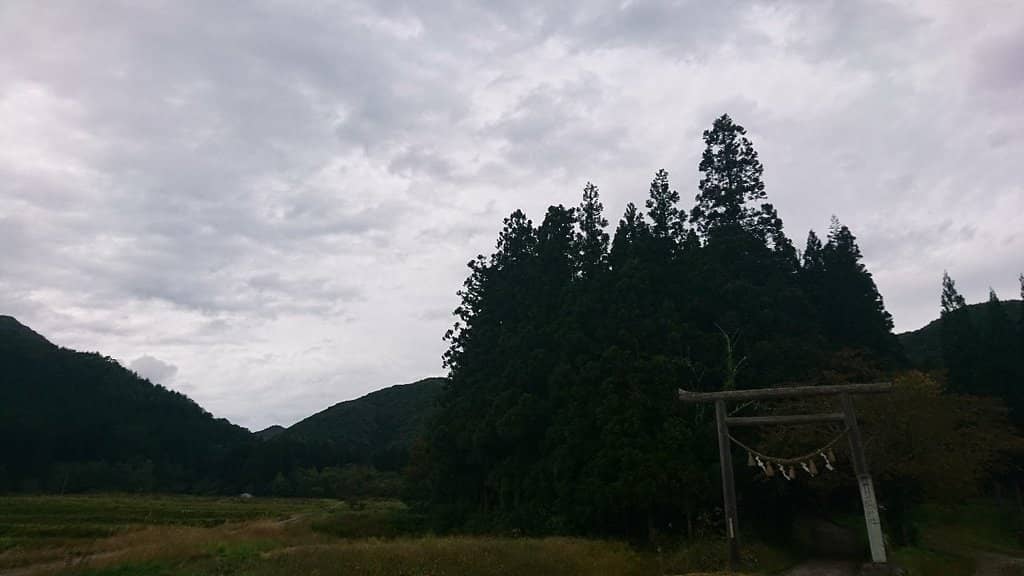 Mystical Forest Atmosphere