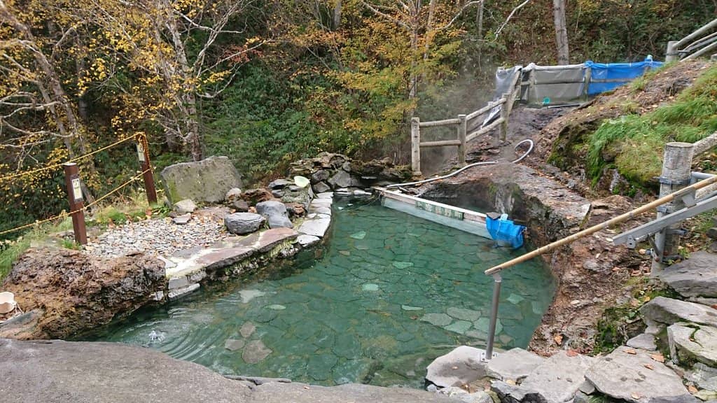 Co-ed Bath Option