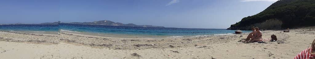 The Iconic Turtle Shape