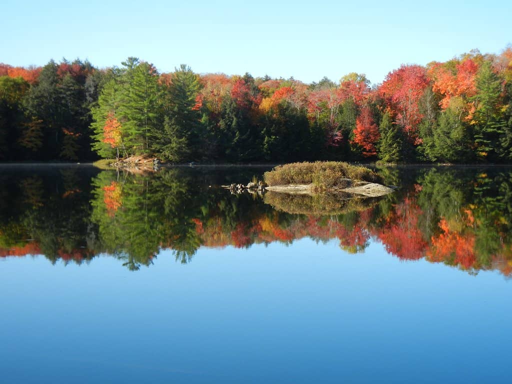 Vibrant Fall Colours