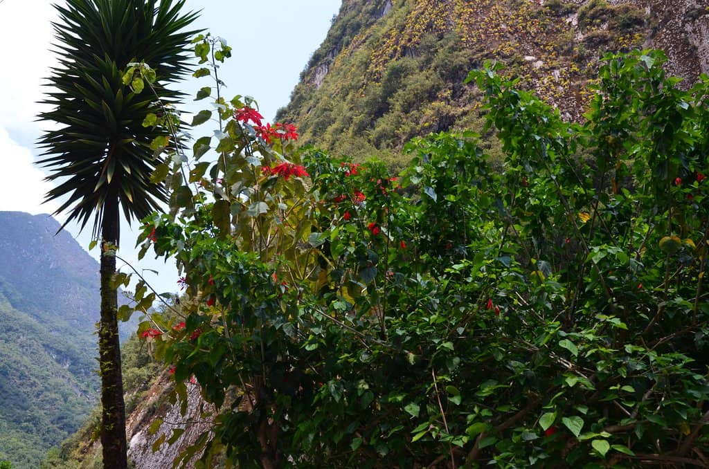 Vertical photo