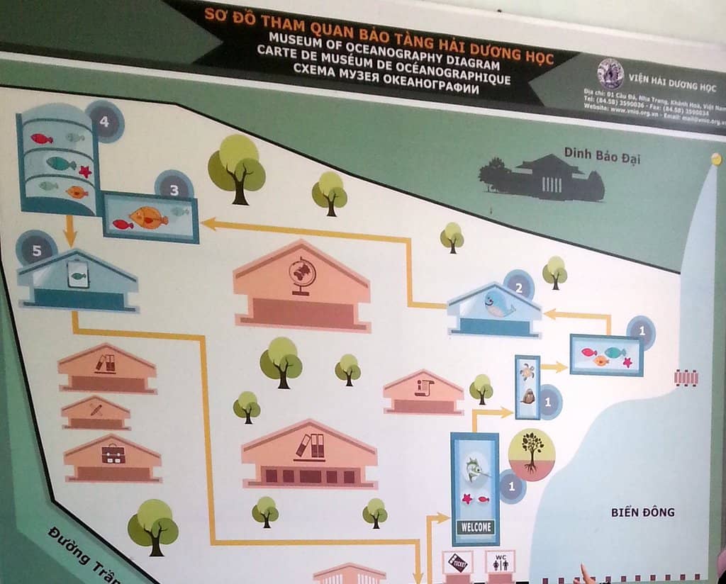 Preserved Marine Specimens